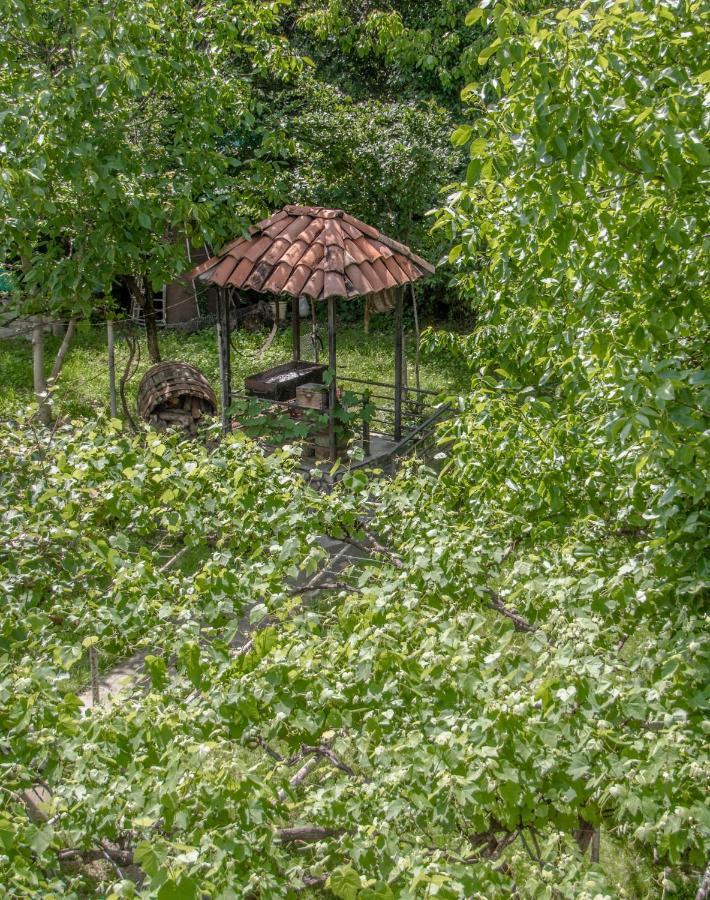 Qilimcha'S Guesthouse-Art Museum 텔라비 외부 사진